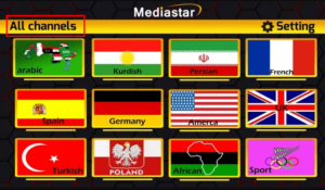 Mediastar-IPTV-Pro-Interface